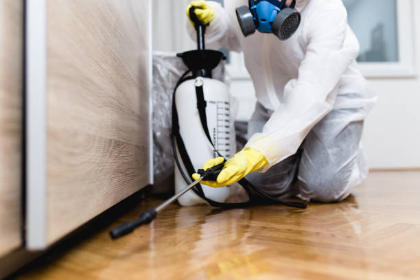 Best Wasp Removal Services  in Ragland, AL