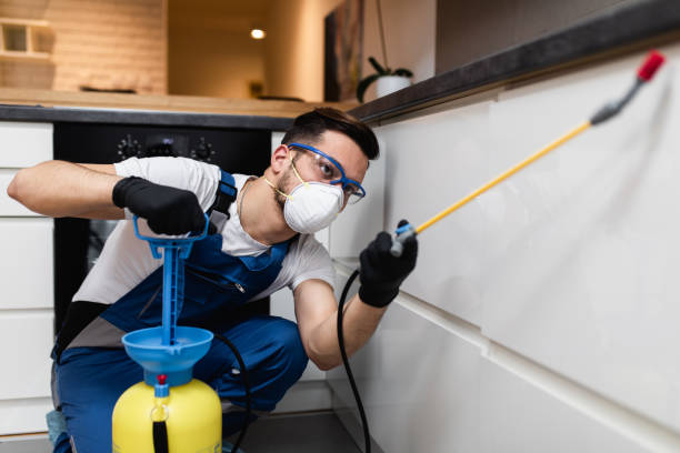 Best Residential Pest Control  in Ragland, AL