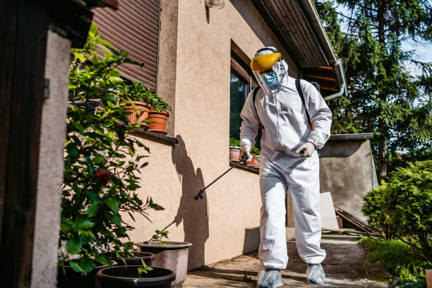 Best Mosquito Control Services  in Ragland, AL