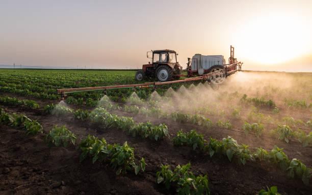 Reliable Ragland, AL Pest Control Solutions