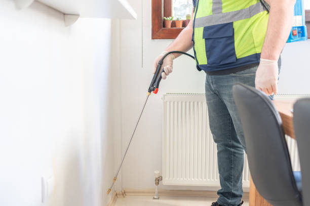 Best Local Pest Control Services  in Ragland, AL
