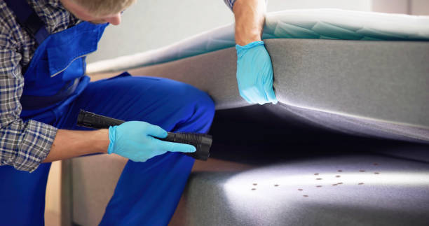 Best Termite Control Services  in Ragland, AL