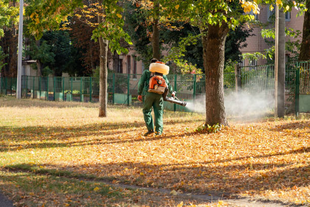Best Flea Control Services  in Ragland, AL