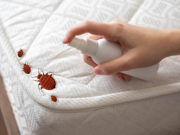 Best Commercial Pest Control Services  in Ragland, AL